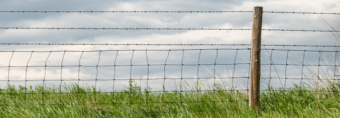 Wire fence