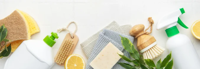 Spring Cleaning Wishlist