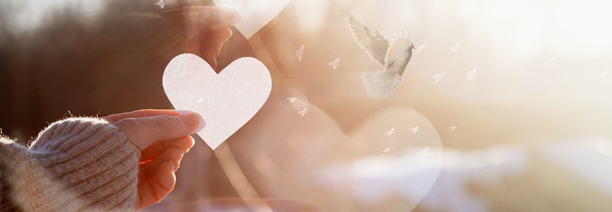 QCD charitable giving